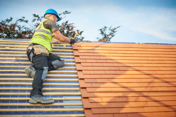 Best Asphalt Shingle Roofing  in St Anthony, ID